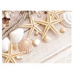 TOVAGLIETTA 30X40 SEA SHELLS TOVAGLIETTA 30X40 SEA SHELLS