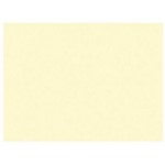 TOVAGLIETTA CARTA 30X40 CREMA PZ.250 TOVAGLIETTA CARTA 30X40 CREMA PZ.250